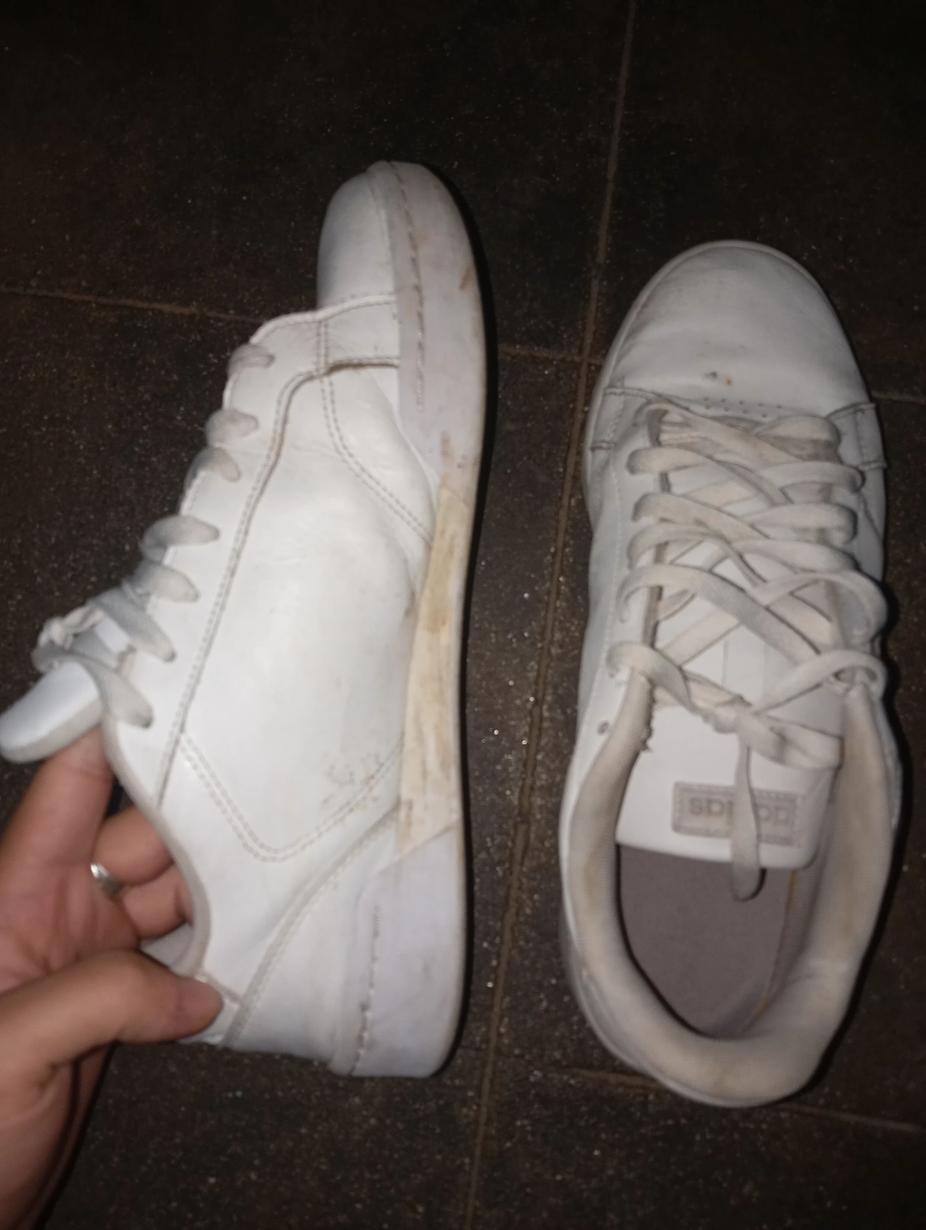 adidas roguera